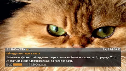 تحميل تطبيق Unitv Apk للاندرويد 2026 أخر إصدار مجانا