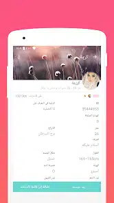 تحميل تطبيق قل هاي Say hi مهكر بلس للاندرويد 2026 أخر إصدار مجانا