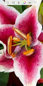 تحميل تطبيق SketchBook Pro مهكر Apk 2026 للرسم الاحترافي للاندرويد أخر إصدار مجانا