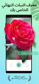 تحميل تطبيق PictureThis مهكر Apk للاندرويد 2026 أخر إصدار مجانا