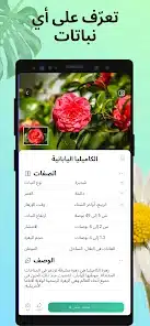 تحميل تطبيق PictureThis مهكر Apk للاندرويد 2026 أخر إصدار مجانا