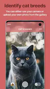 تحميل تطبيق Cat Scanner: Breed Recognition مهكر Apk للاندرويد 2026 أخر إصدار مجانا