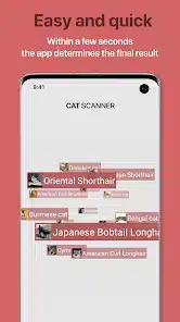 تحميل تطبيق Cat Scanner: Breed Recognition مهكر Apk للاندرويد 2026 أخر إصدار مجانا