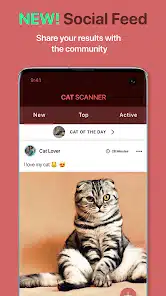 تحميل تطبيق Cat Scanner: Breed Recognition مهكر Apk للاندرويد 2026 أخر إصدار مجانا