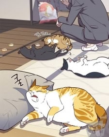 تحميل تطبيق Mangabuddy مهكر Apk للاندرويد 2026 أخر إصدار مجانا