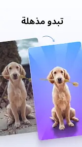 تحميل برنامج فوتو روم PhotoRoom Pro مهكر Apk للاندرويد 2026 أخر إصدار مجانا