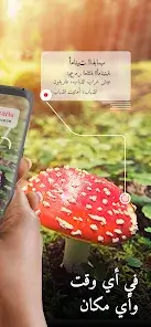 تحميل تطبيق Picture Mushroom مهكر Apk للاندرويد 2026 أخر إصدار مجانا