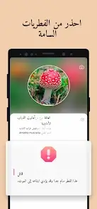 تحميل تطبيق Picture Mushroom مهكر Apk للاندرويد 2026 أخر إصدار مجانا