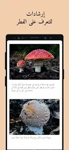 تحميل تطبيق Picture Mushroom مهكر Apk للاندرويد 2026 أخر إصدار مجانا