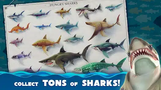 تحميل لعبة Hungry Shark World مهكرة Apk للاندرويد 2026 أخر إصدار مجانا