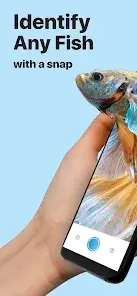 تحميل تطبيق Picture Fish - Fish Identifier مهكر Apk للاندرويد 2026 أخر إصدار مجانا