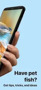 تحميل تطبيق Picture Fish - Fish Identifier مهكر Apk للاندرويد 2026 أخر إصدار مجانا