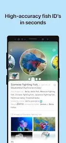 تحميل تطبيق Picture Fish - Fish Identifier مهكر Apk للاندرويد 2026 أخر إصدار مجانا