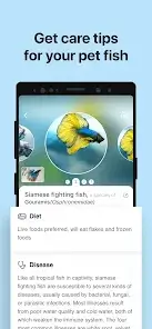 تحميل تطبيق Picture Fish - Fish Identifier مهكر Apk للاندرويد 2026 أخر إصدار مجانا