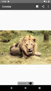 تحميل تطبيق Colorize Images مهكر Apk للاندرويد 2026 أخر إصدار مجانا