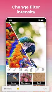 تحميل تطبيق Picturize It مهكر Apk للاندرويد 2026 أخر إصدار مجانا