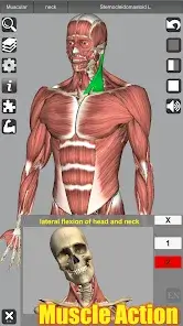 تحميل تطبيق 3D Anatomy مهكر Apk للاندرويد 2026 أخر إصدار مجانا