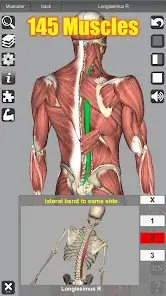 تحميل تطبيق 3D Anatomy مهكر Apk للاندرويد 2026 أخر إصدار مجانا