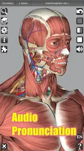 تحميل تطبيق 3D Anatomy مهكر Apk للاندرويد 2026 أخر إصدار مجانا