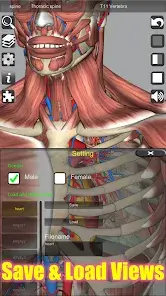 تحميل تطبيق 3D Anatomy مهكر Apk للاندرويد 2026 أخر إصدار مجانا