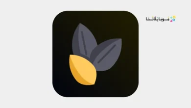 Sesame AI Voice Call Assistant