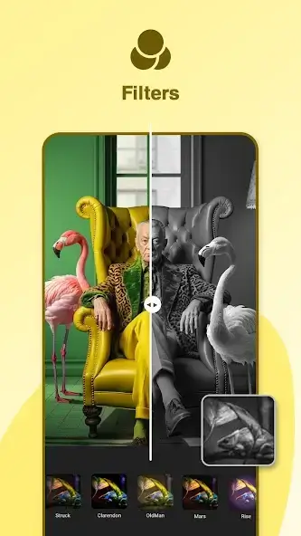 تحميل تطبيق Gallery Photo Editor مهكر Apk للاندرويد 2026 أخر إصدار مجانا