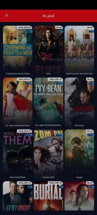 تحميل تطبيق ايجي بست لايت EgyBest Lite مهكر Apk للاندرويد 2026 أخر إصدار مجانا