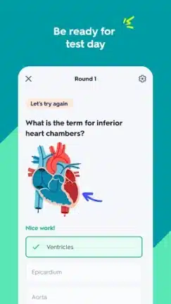 تحميل تطبيق Quizlet Premium مهكر Apk للاندرويد 2026 أخر إصدار مجانا