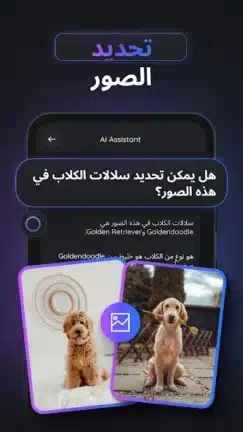 تحميل تطبيق Gemmy AI مهكر Apk للاندرويد 2026 أخر إصدار مجانا