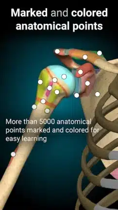 تحميل تطبيق Anatomy Learning مهكر Apk للاندرويد 2026 أخر إصدار مجانا