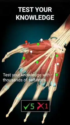 تحميل تطبيق Anatomy Learning مهكر Apk للاندرويد 2026 أخر إصدار مجانا