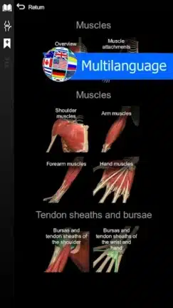 تحميل تطبيق Anatomy Learning مهكر Apk للاندرويد 2026 أخر إصدار مجانا