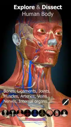 تحميل تطبيق Anatomy Learning مهكر Apk للاندرويد 2026 أخر إصدار مجانا
