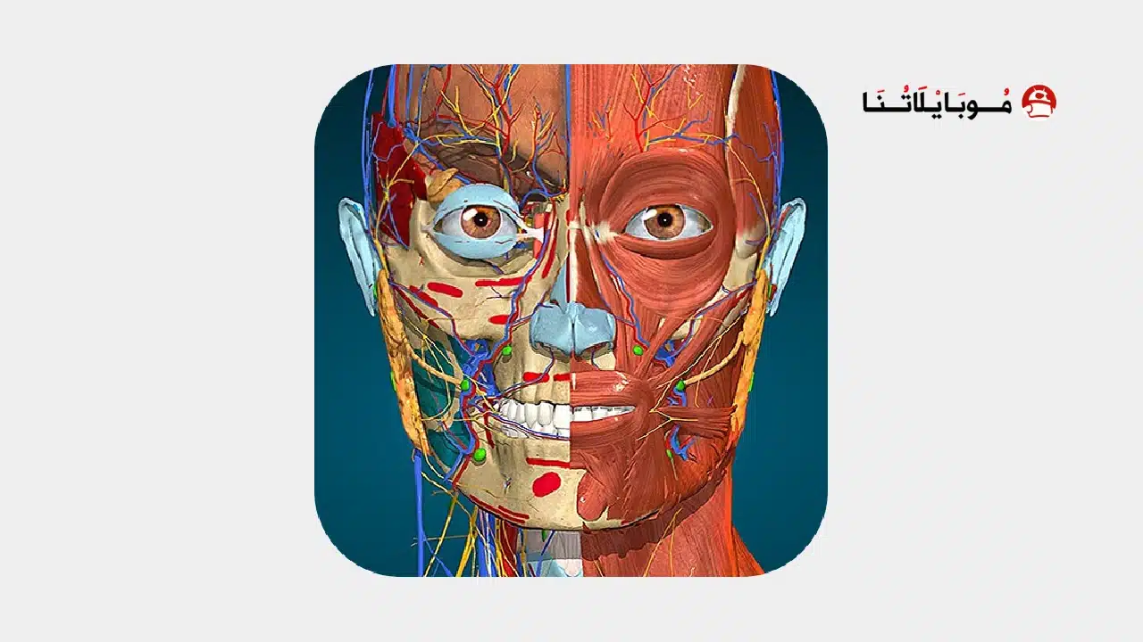تحميل تطبيق Anatomy Learning مهكر