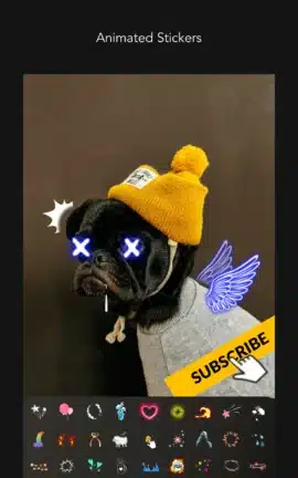 تطبيق MOLDIV VideoLab