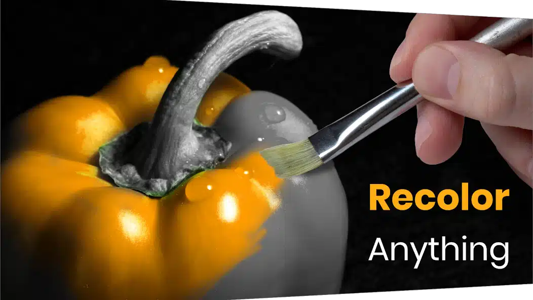 تحميل تطبيق Color Pop Effects Pro مهكر Apk للاندرويد 2026 أخر إصدار مجانا